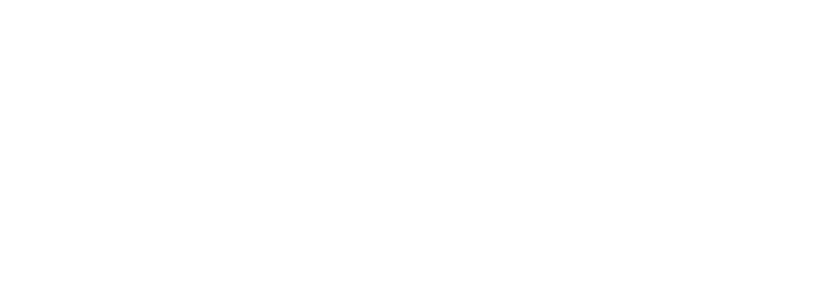 hess logo waschpark white